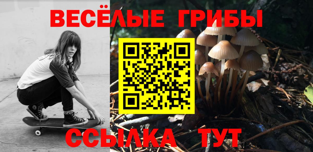 Добрянка  Галлюциногенные грибы Cubensis  Вход с VPN 